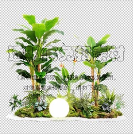 植物造景