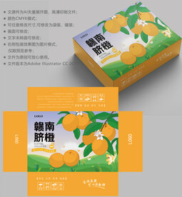 橙子包装 水果盒子