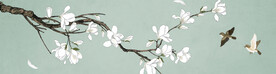 白玉兰花鸟