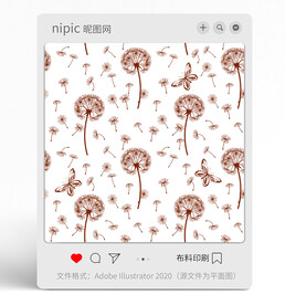 蒲公英