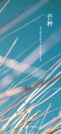 阳光下的野草