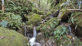 山林里的泉水