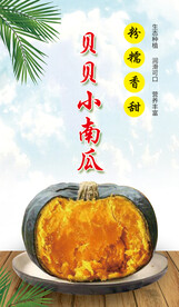 贝贝南瓜标签