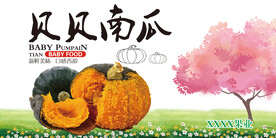 贝贝南瓜