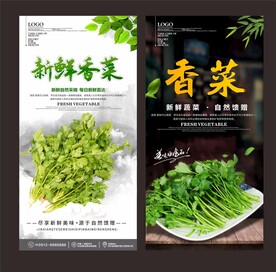 香菜