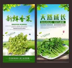 香菜