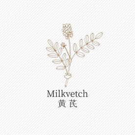 黄芪线稿矢量