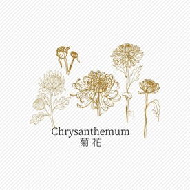 矢量菊花