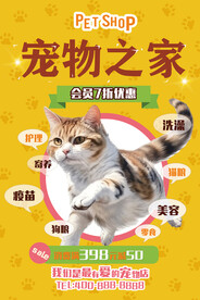 宠物