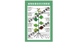 植物缺素症状识别图谱