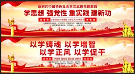 学思想强党性重实践建新功