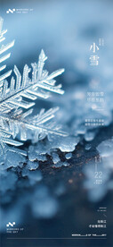 小雪海报