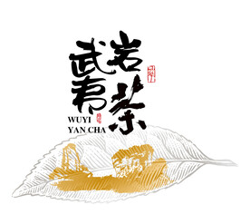 武夷山 