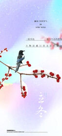  小雪 