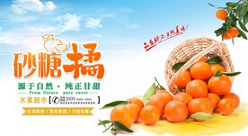 砂糖橘