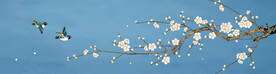 花鸟梅花