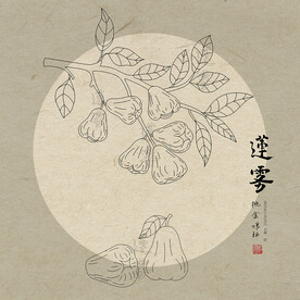 手绘莲雾