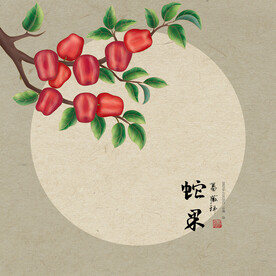 手绘蛇果