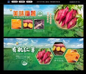 红薯