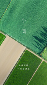 小满节气海报