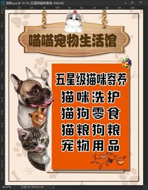 宠物店活动