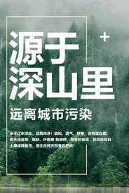 绿色海报