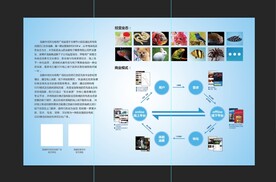 水族公司展板企业介绍