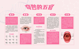 奇妙的五官