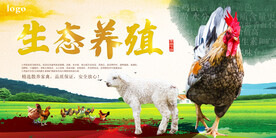 家禽