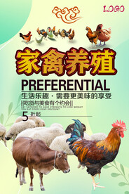 家禽