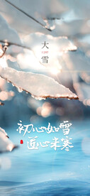  大雪 地产