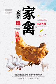 家禽