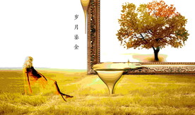 岁月鎏金