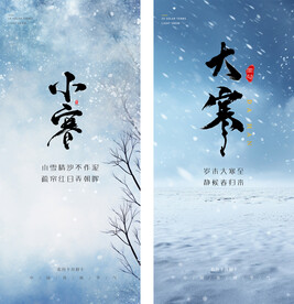 小寒大寒地产海报