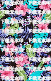 热带花卉
