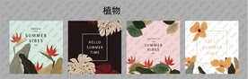 植物