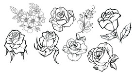 玫瑰花矢量图