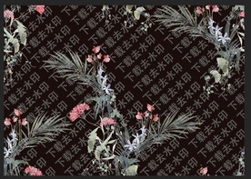 热带花