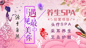 遇见最美的你