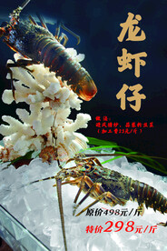 澳洲龙虾 
