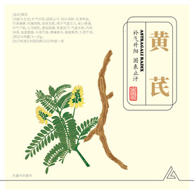 黄芪