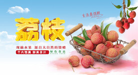 荔枝海报