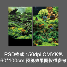 绿色水草水族观赏鱼海报