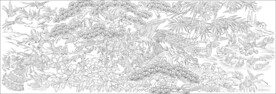 百鸟朝凤