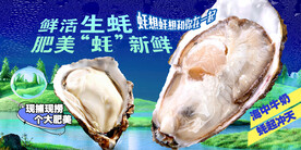 生蚝