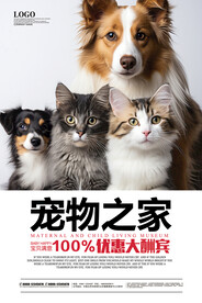 宠物