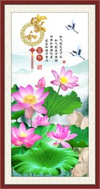 荷花图