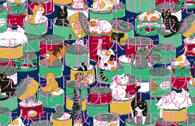 猫咪