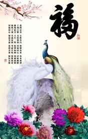 孔雀牡丹图
