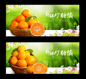 砂糖橘